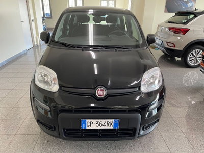 Fiat Panda Cross Cross 1.0 FireFly S&S Hybrid (3)