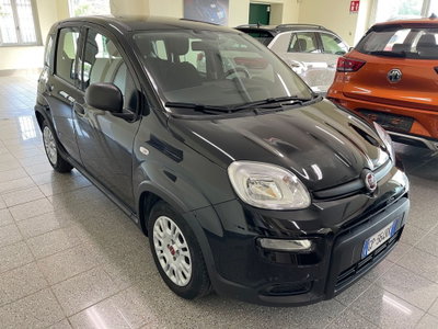 Fiat Panda Cross Cross 1.0 FireFly S&S Hybrid (4)