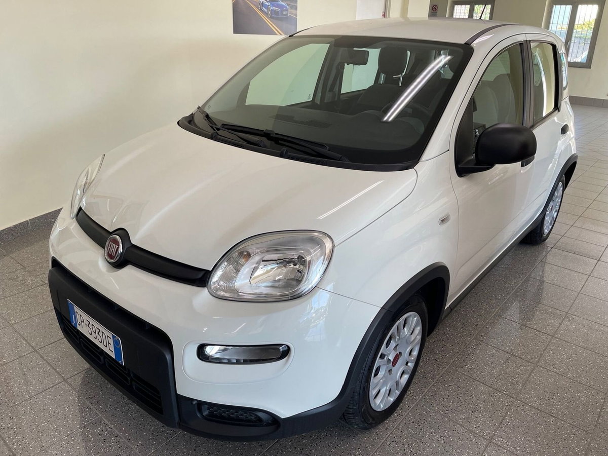 Fiat Panda Cross Cross 1.0 FireFly S&S Hybrid (2)