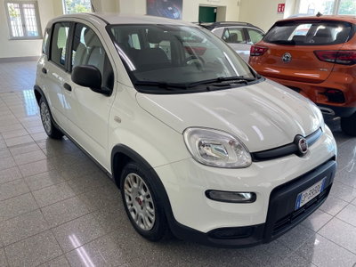 Fiat Panda Cross Cross 1.0 FireFly S&S Hybrid (4)