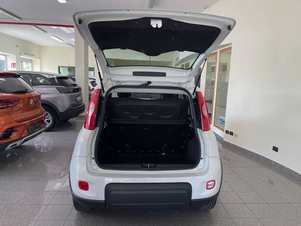 Fiat Panda Cross Cross 1.0 FireFly S&S Hybrid (8)