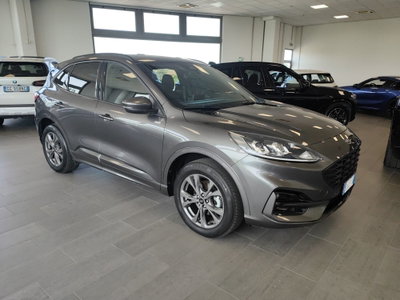 Ford Kuga 2.5 Plug In Hybrid 225 CV CVT 2WD ST-Line (2)