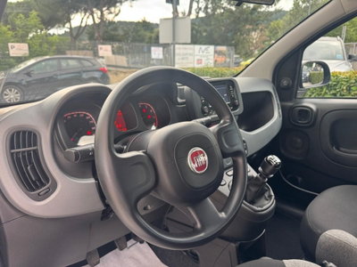 Fiat Panda 1.0 FireFly S&S Hybrid City Cross (16)