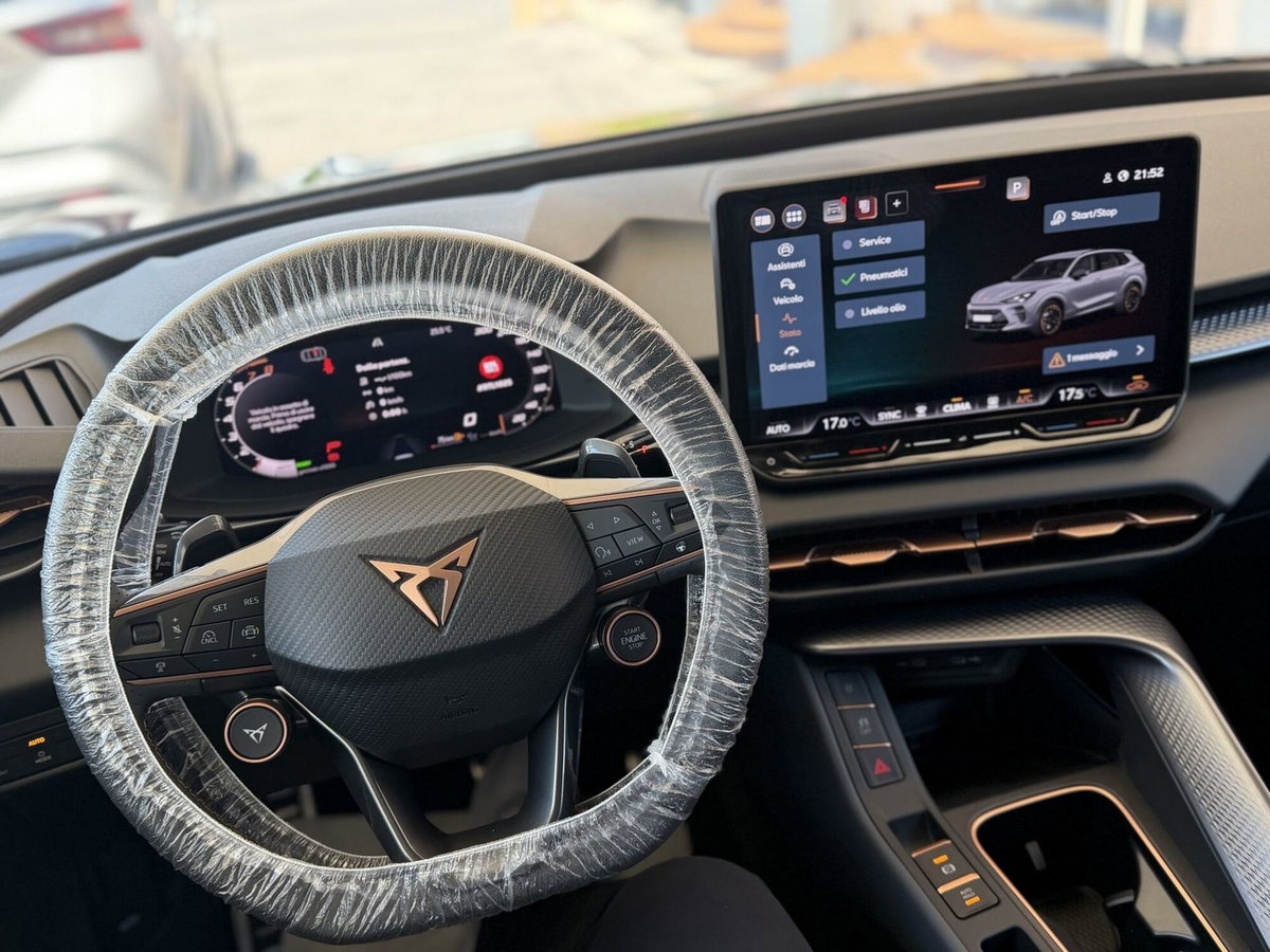 Cupra Terramar 1.5 hybrid 150cv dsg (10)