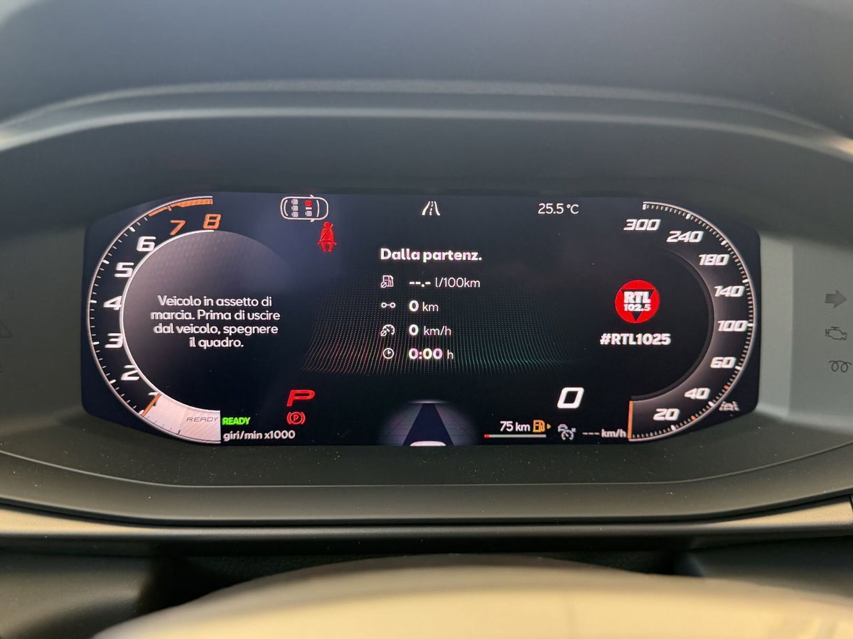 Cupra Terramar 1.5 hybrid 150cv dsg (15)