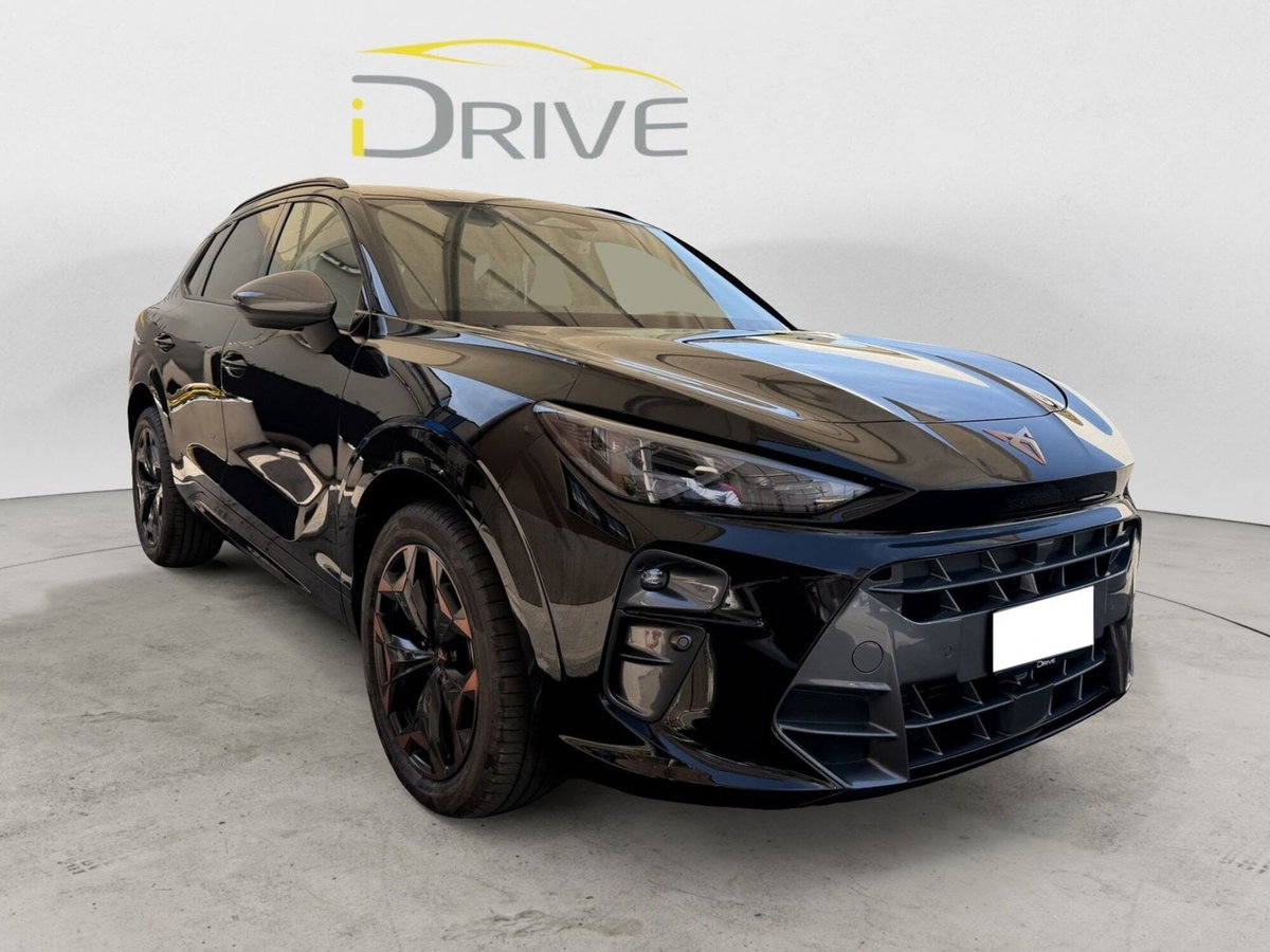 Cupra Terramar 1.5 hybrid 150cv dsg (3)