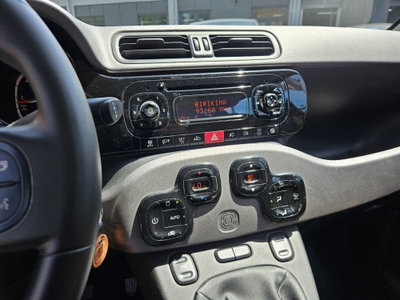 Fiat Panda 1.3 MJT 16V DPF 4x4 Climbing (15)