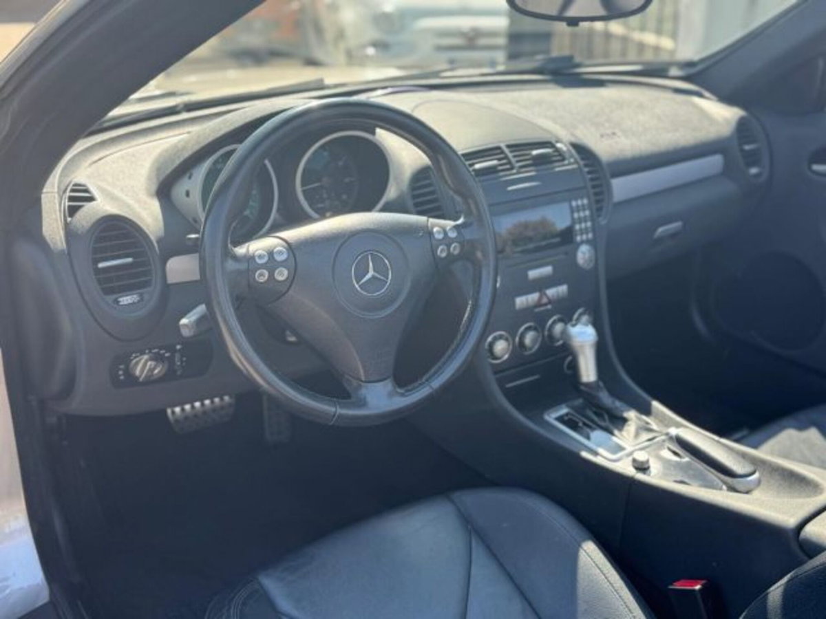 Mercedes-Benz SLK 200 Kompressor cat (18)