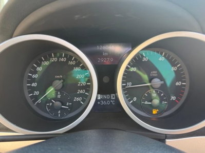 Mercedes-Benz SLK 200 Kompressor cat (20)