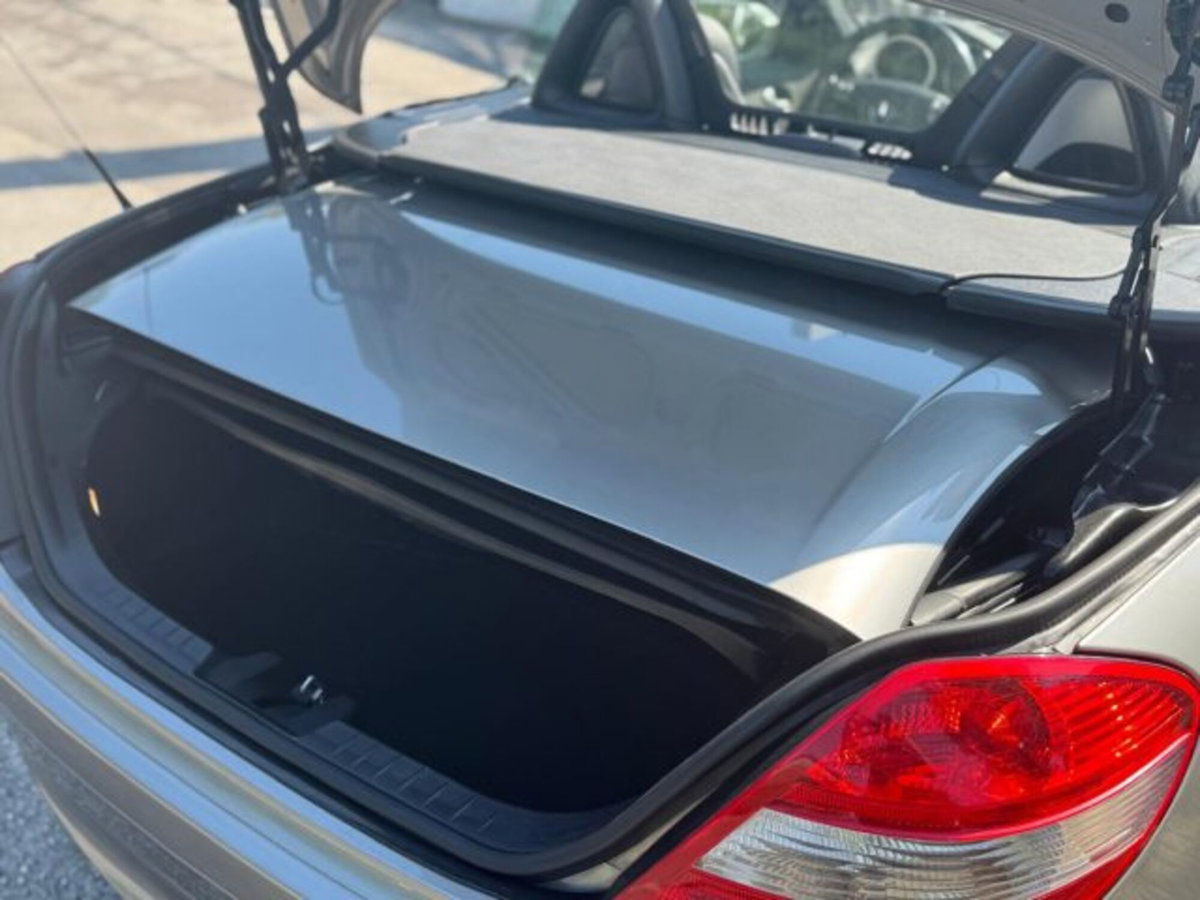 Mercedes-Benz SLK 200 Kompressor cat (9)