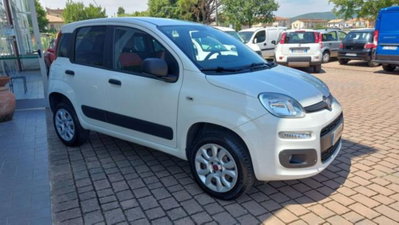 Fiat Panda 0.9 TwinAir Turbo S&S 4x4 Pop Van 2 posti (2)