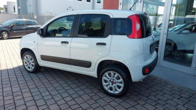 Fiat Panda 0.9 TwinAir Turbo S&S 4x4 Pop Van 2 posti (3)