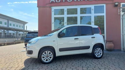 Fiat Panda 0.9 TwinAir Turbo S&S 4x4 Pop Van 2 posti (4)