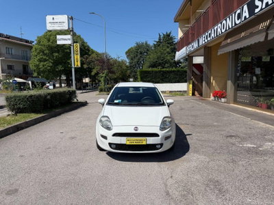 Fiat Punto 1.3 MJT II 75 CV 5 porte Street (2)