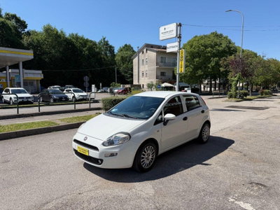 Fiat Punto 1.3 MJT II 75 CV 5 porte Street (3)