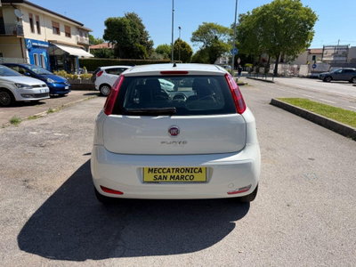 Fiat Punto 1.3 MJT II 75 CV 5 porte Street (5)