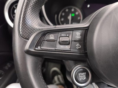 Alfa Romeo Stelvio Stelvio 2.0 Turbo 200 CV AT8 Q4 Super Business (14)