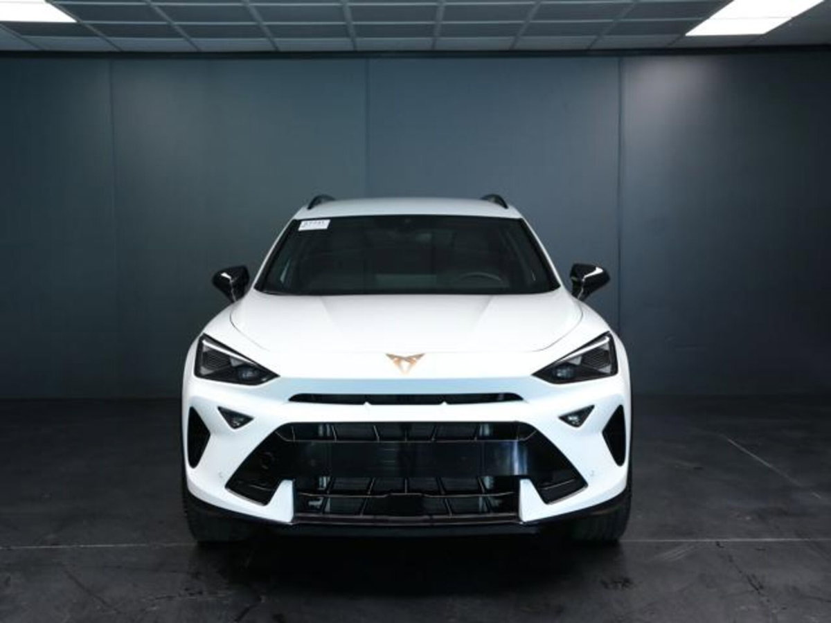 Cupra Formentor 1.5 hybrid 150cv dsg (2)