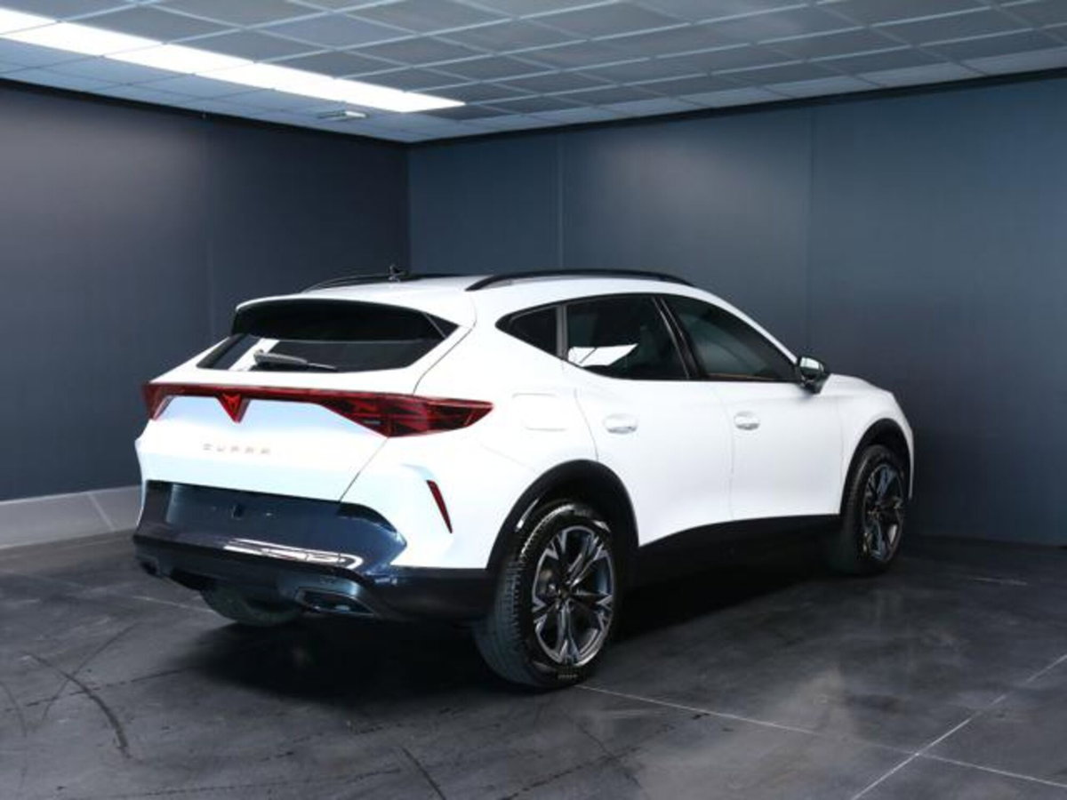 Cupra Formentor 1.5 hybrid 150cv dsg (3)