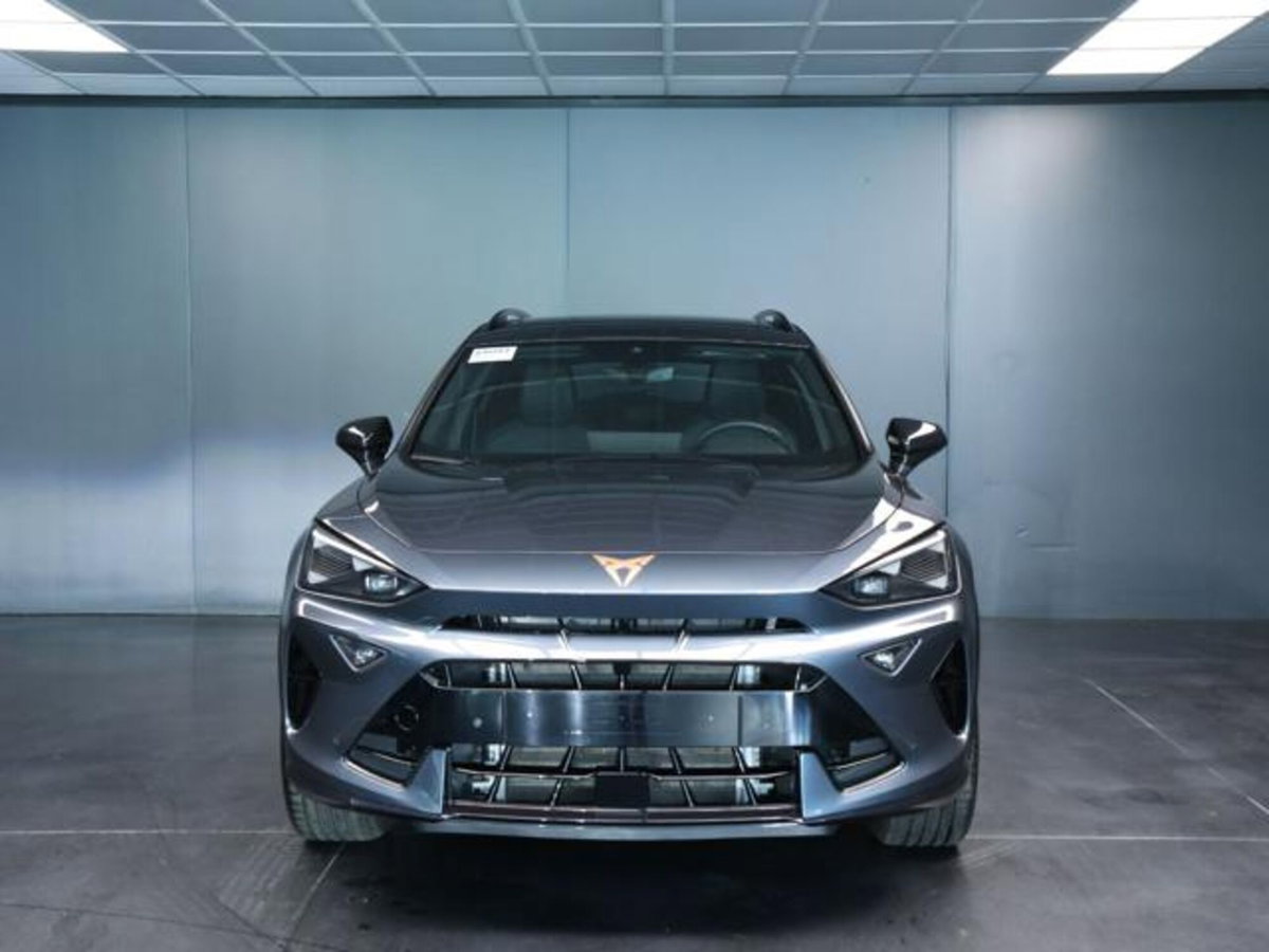 Cupra Formentor 1.5 hybrid 150cv dsg (2)