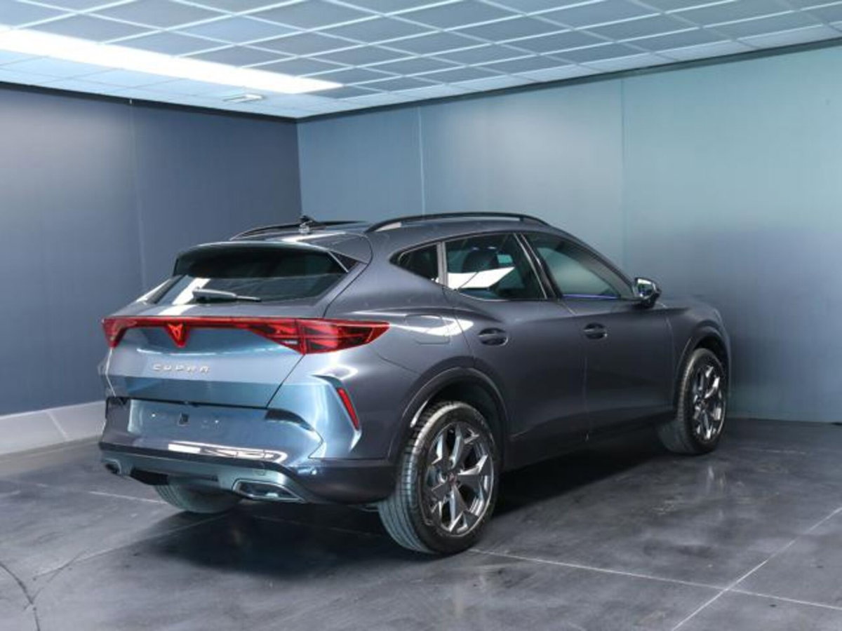 Cupra Formentor 1.5 hybrid 150cv dsg (3)