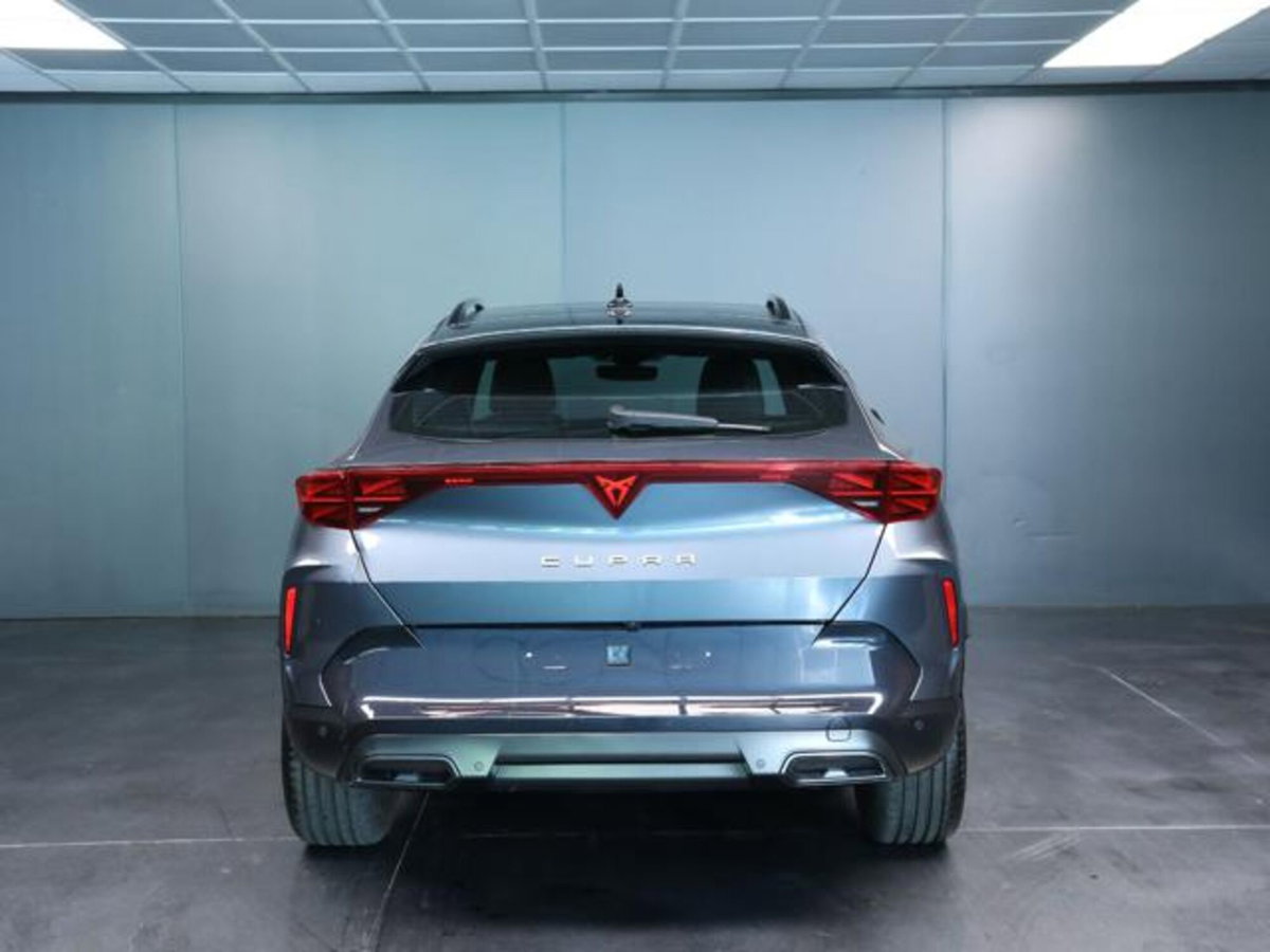 Cupra Formentor 1.5 hybrid 150cv dsg (4)