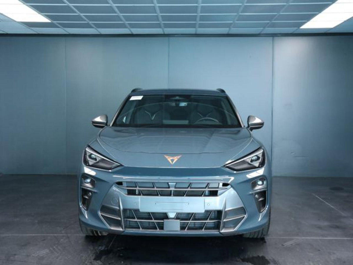 Cupra Terramar 1.5 hybrid 150cv dsg (2)