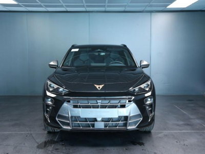 Cupra Terramar 1.5 hybrid 150cv dsg (2)