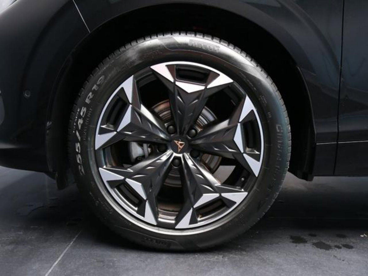 Cupra Terramar 1.5 hybrid 150cv dsg (5)