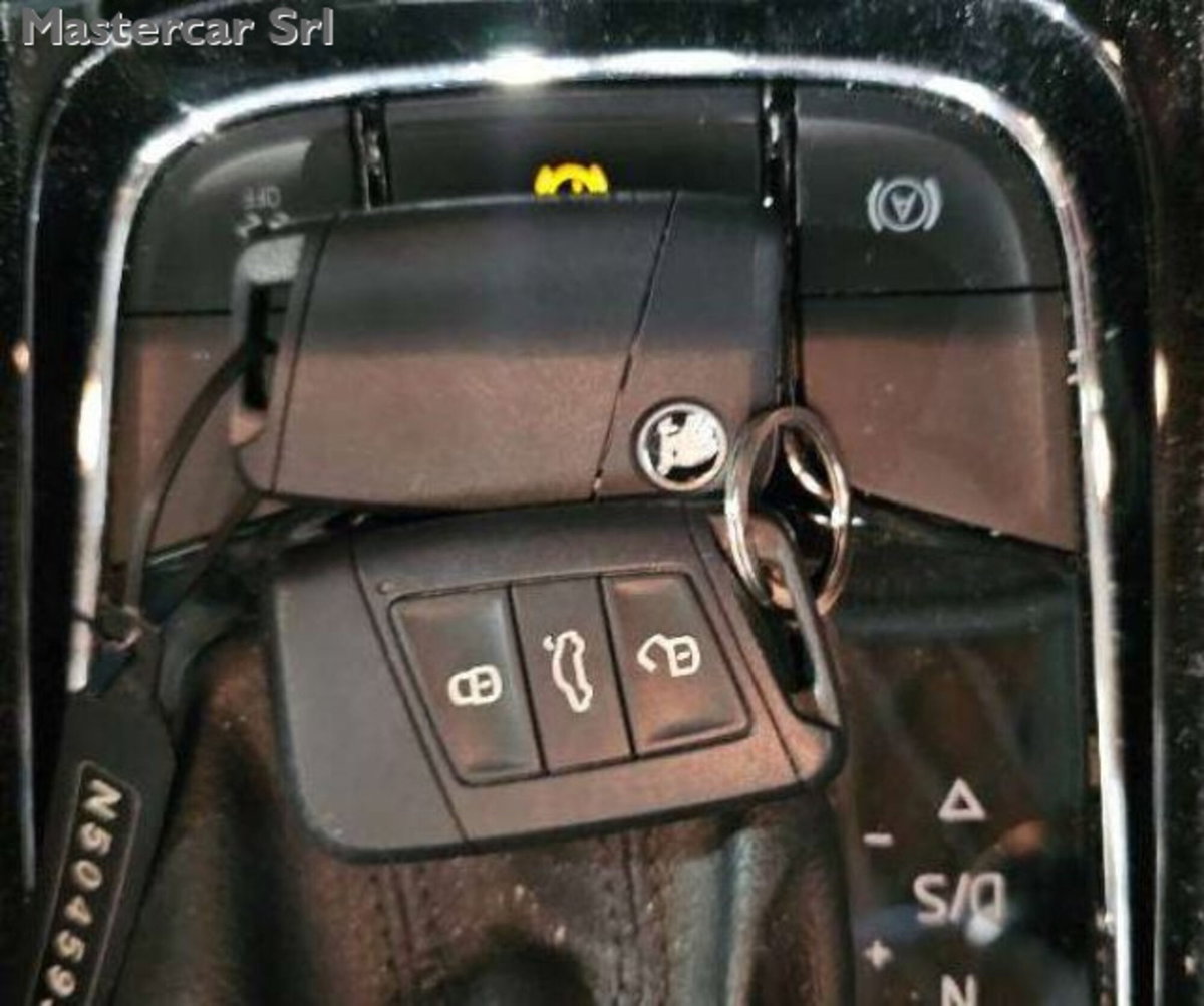 Skoda Karoq 2.0 TDI EVO SCR 115 CV DSG Executive (10)
