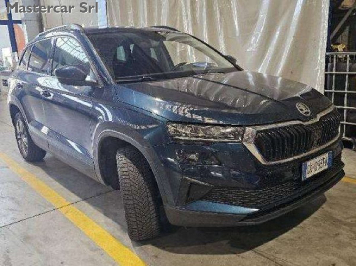 Skoda Karoq 2.0 TDI EVO SCR 115 CV DSG Executive (5)