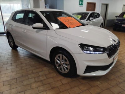 Skoda Fabia 1.0 MPI EVO 80 CV Ambition usata