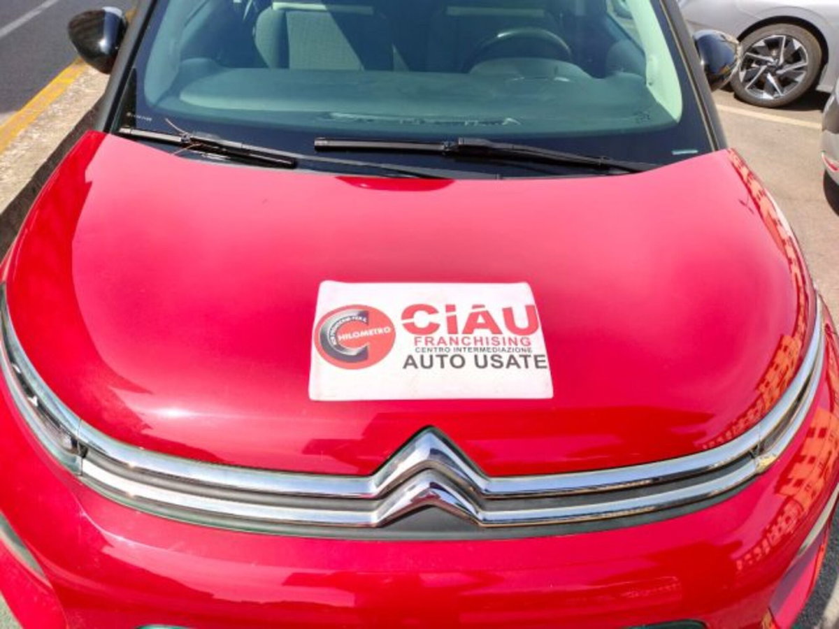 Citroen C3 Aircross BlueHDi 100 S&S Shine (20)
