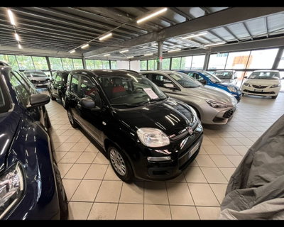 Fiat Panda 1.2 Easy usata