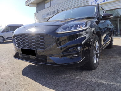 Ford Kuga 1.5 EcoBlue 120 CV aut. 2WD ST-Line X usata
