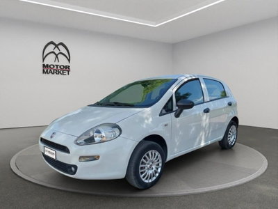 Fiat Punto 1.4 8V 5 porte Natural Power Lounge usata