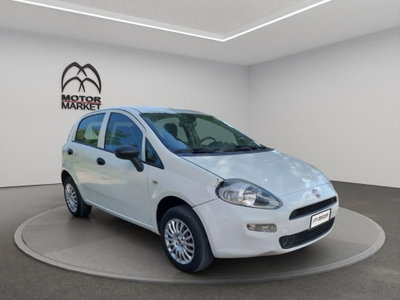 Fiat Punto 1.4 8V 5 porte Natural Power Lounge (3)
