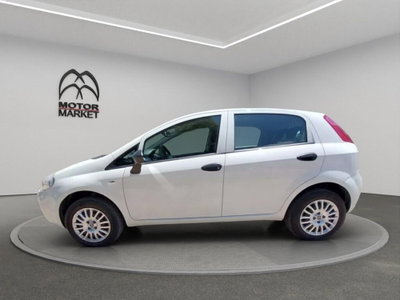 Fiat Punto 1.4 8V 5 porte Natural Power Lounge (5)