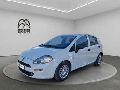 Fiat Punto 1.3 MJT II S&S 95 CV 5 porte Street usata