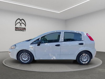 Fiat Punto 1.3 MJT II S&S 95 CV 5 porte Street (5)