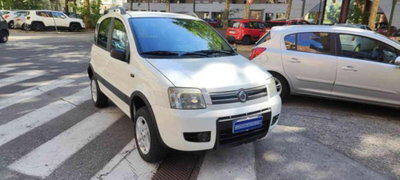 Fiat Panda 1.3 MJT 16V 4x4 Climbing usata