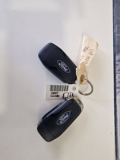 Ford Focus Station Wagon 1.5 EcoBlue 120 CV automatico SW Business (16)