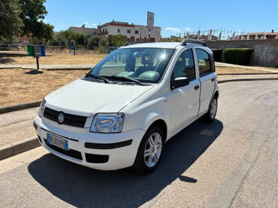 Fiat Panda 1.2 Alessi usata