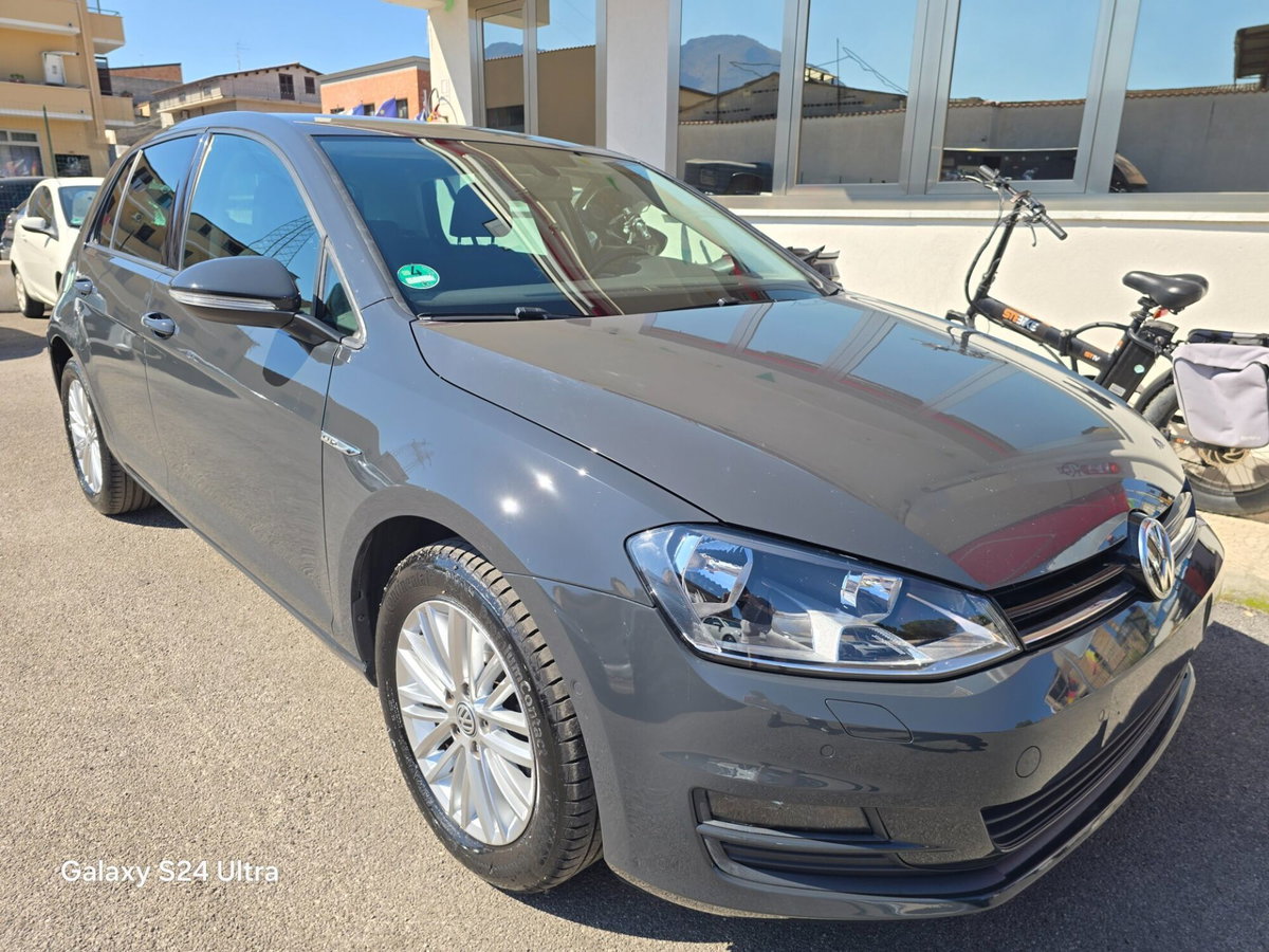 Volkswagen Golf 1.6 TDI 110 CV 5p. Business BlueMotion Technology