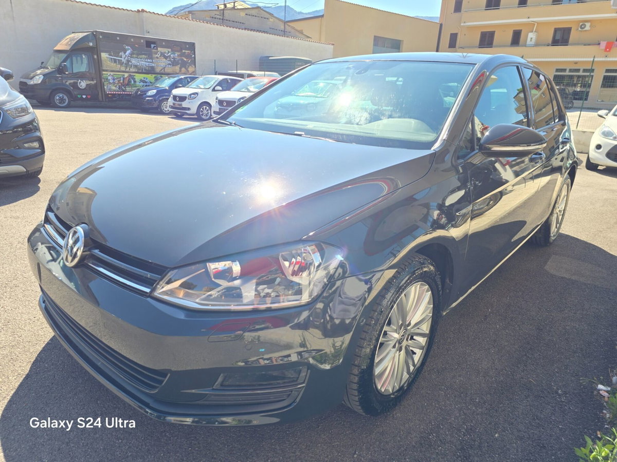 Volkswagen Golf 1.6 TDI 110 CV 5p. Business BlueMotion Technology (5)