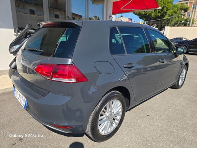 Volkswagen Golf 1.6 TDI 110 CV 5p. Business BlueMotion Technology (6)