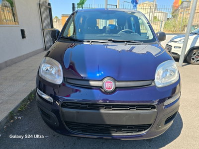 Fiat Panda 1.2 Easy usata