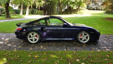 Porsche 911 Coupé Turbo cat (11)