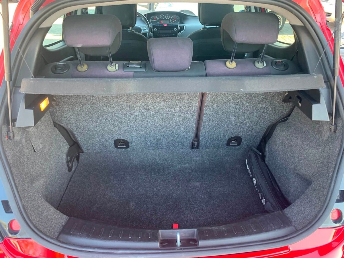 Lancia Ypsilon 1.2 69 CV 5 porte Platinum (11)