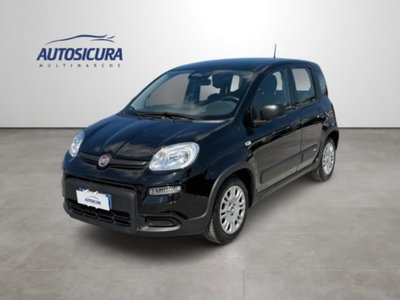 Fiat Panda 1.0 firefly hybrid s&s 70cv 5p.ti usata